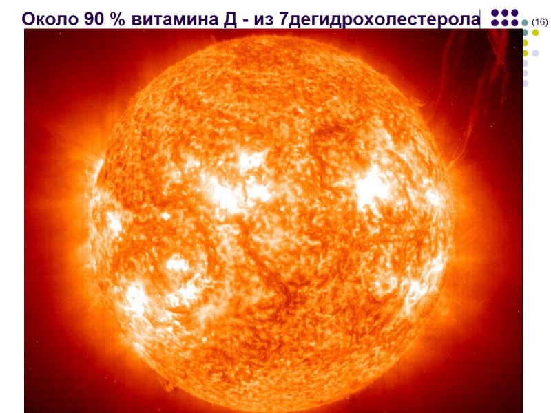 Около 90 % витамина Д - из 7дегидрохолестерола      